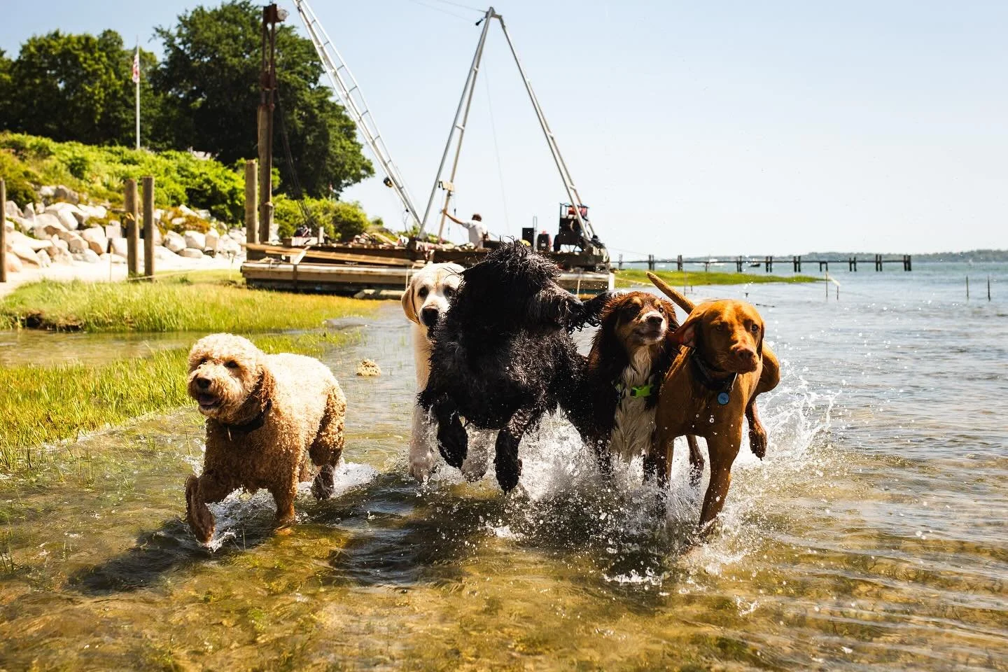 Live look at our holiday weekend πΊπΈ Hope everyone has a fun and safe 4th of July