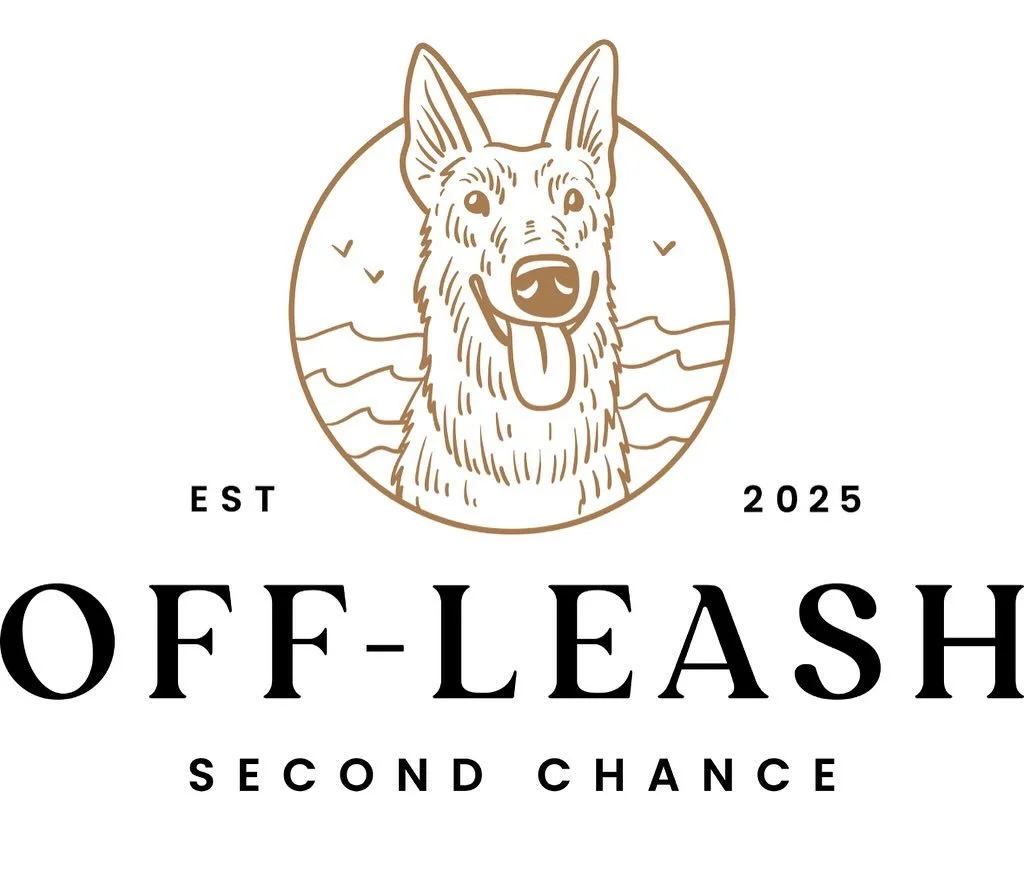 At the end of last year, I saw a video of a handsome Belgian Malinois named Whiskey who was scheduled to be euthanized and quickly running out of time. There was something about this particular dog that spoke to me — maybe it was the way he lea