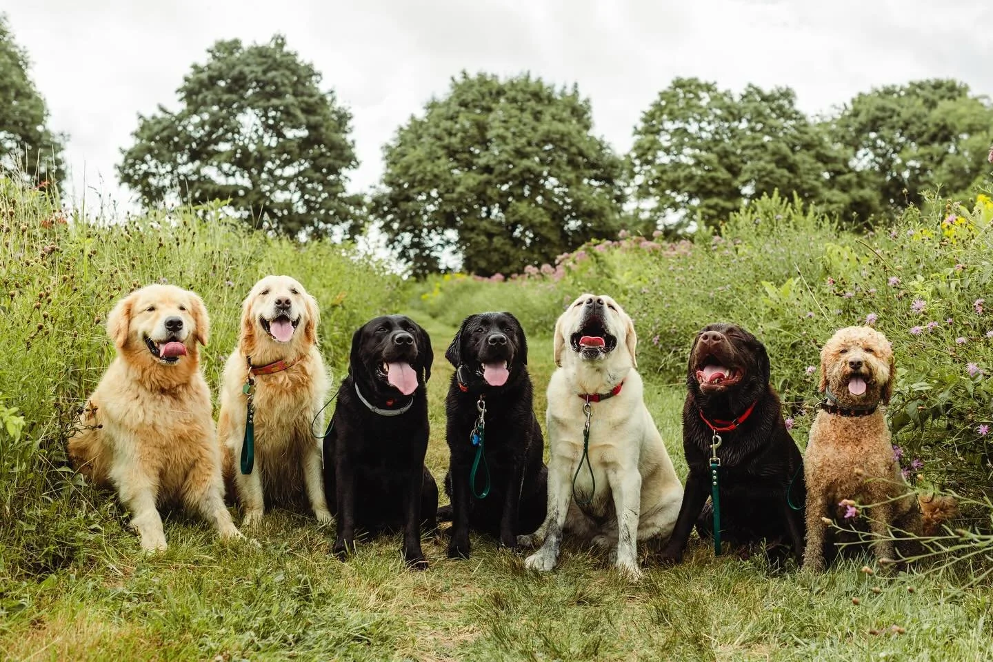 It’s a great Friday to hang with your pals πΎ