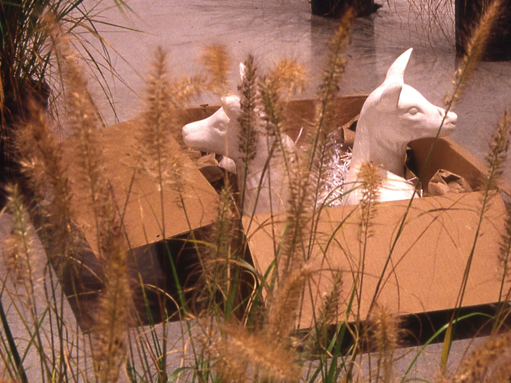 Natural_Refuge2.jpg