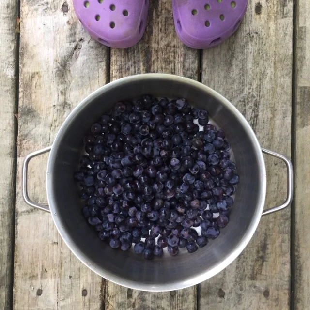 Sweet thoughts for the end of summer