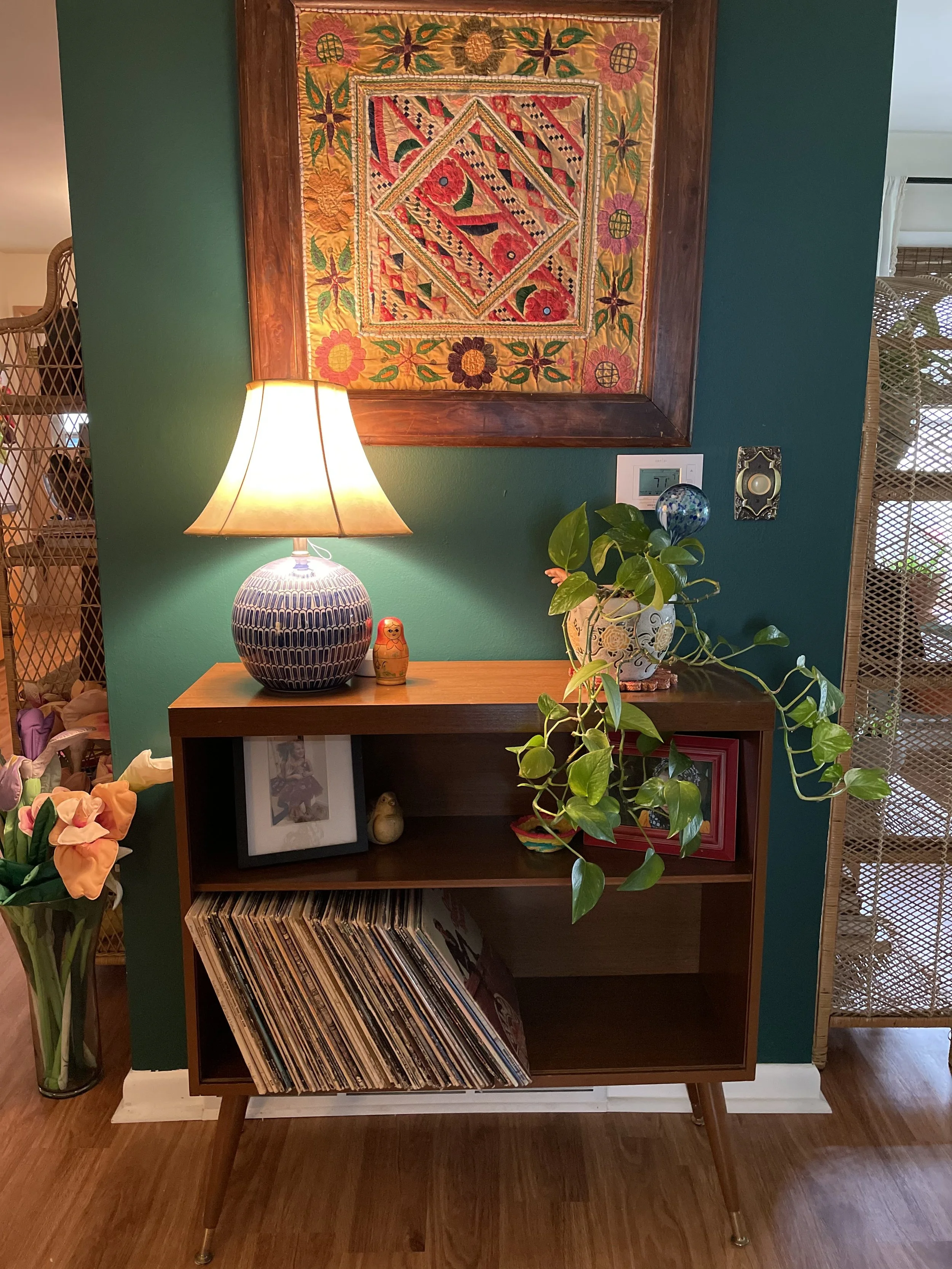 Retro Record Cupboard and cascading plant