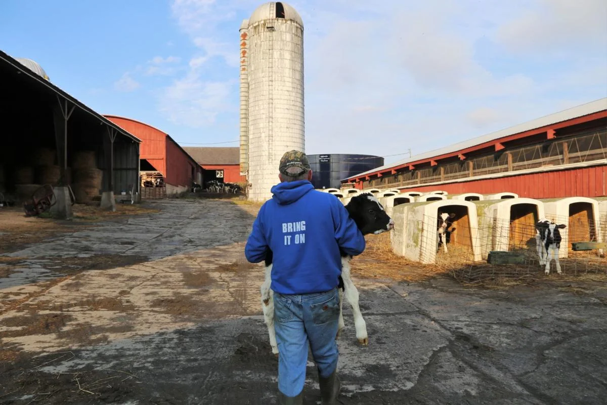 Hollister Brothers Farm in Whitehall