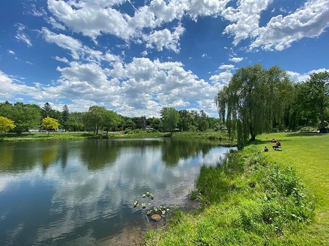 Hovey Pond 🌞