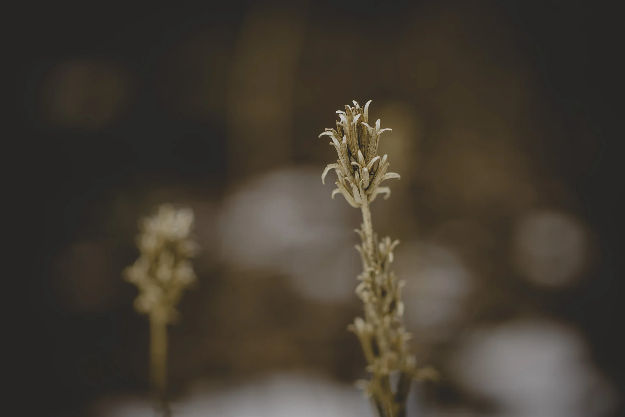 20160126_0187.jpg