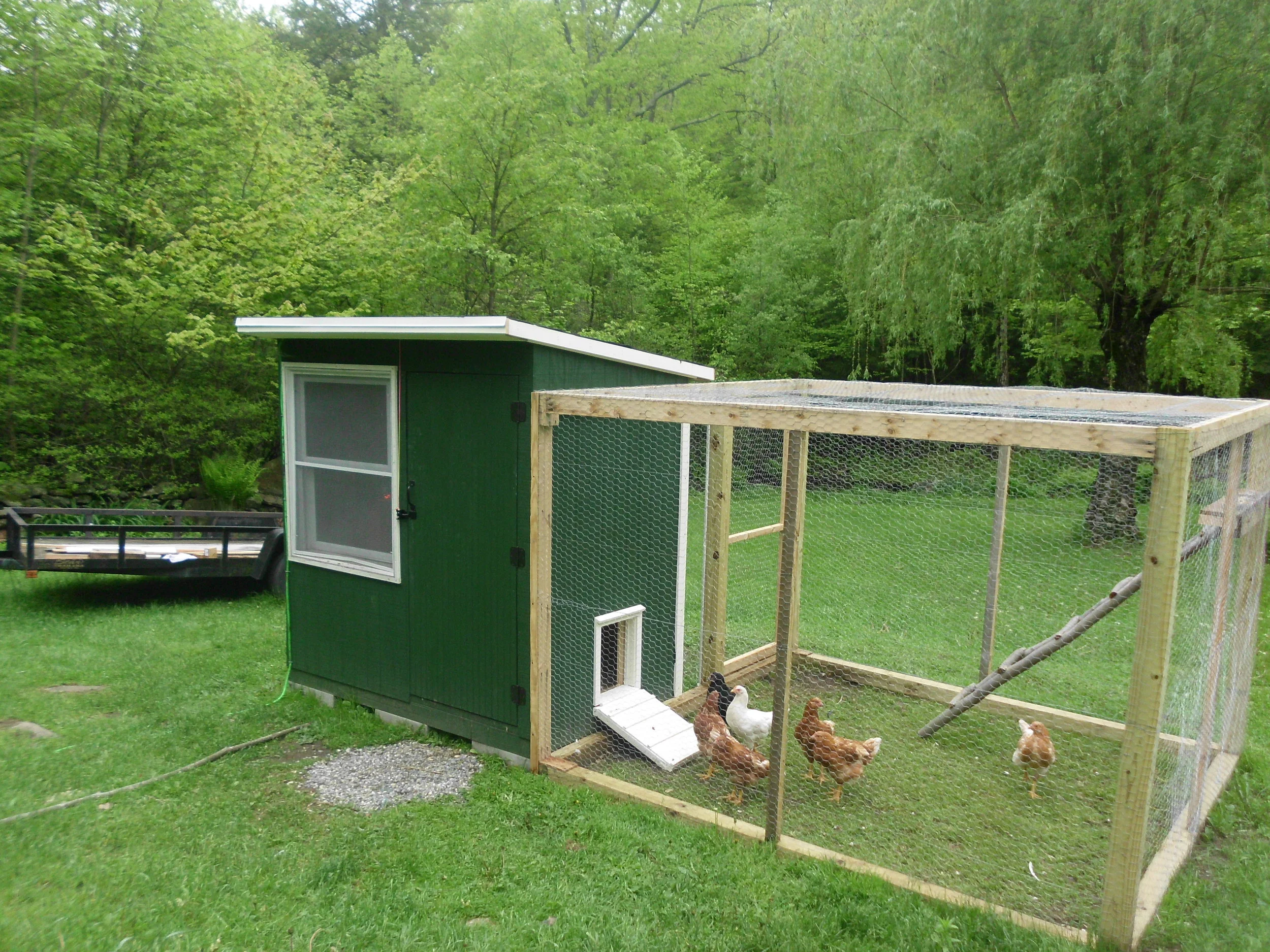 I have peace of mind knowing that my chickens will get out early and the door will automatically close at dusk. We can go about our busy lives and not worry because we know the door will close and open automatically. We are the envy of our chicken friends. Many thanks, Kelly Ward