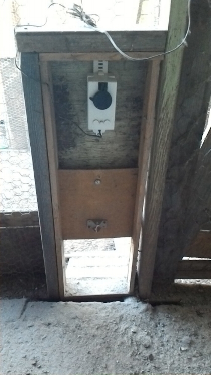 Rita: This is a do-it-yourself door crafted similar to the Automatic Chicken Coop Door. Purchased the automatic door opener from you. I have a predators in the form of coyotes, skunks, and hawks (maybe a few others). As you can see, these aren't chickens; they're Guinea Fowl. Bought the motor/opener and made the door. Has been working fine. About 2 years ago.