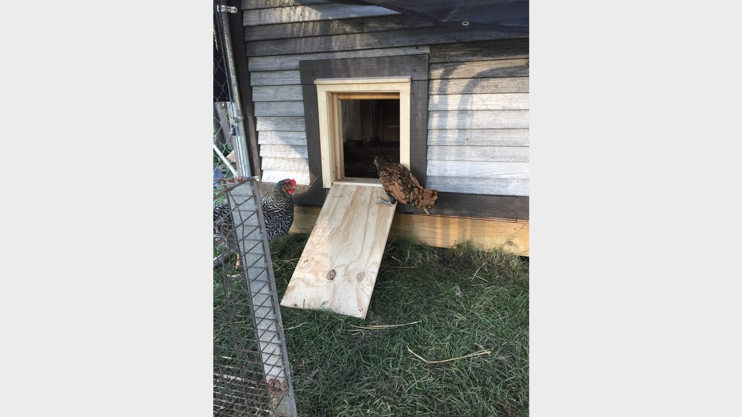 Screen Shot 2023-04-20 at 10.38.52 AM.png