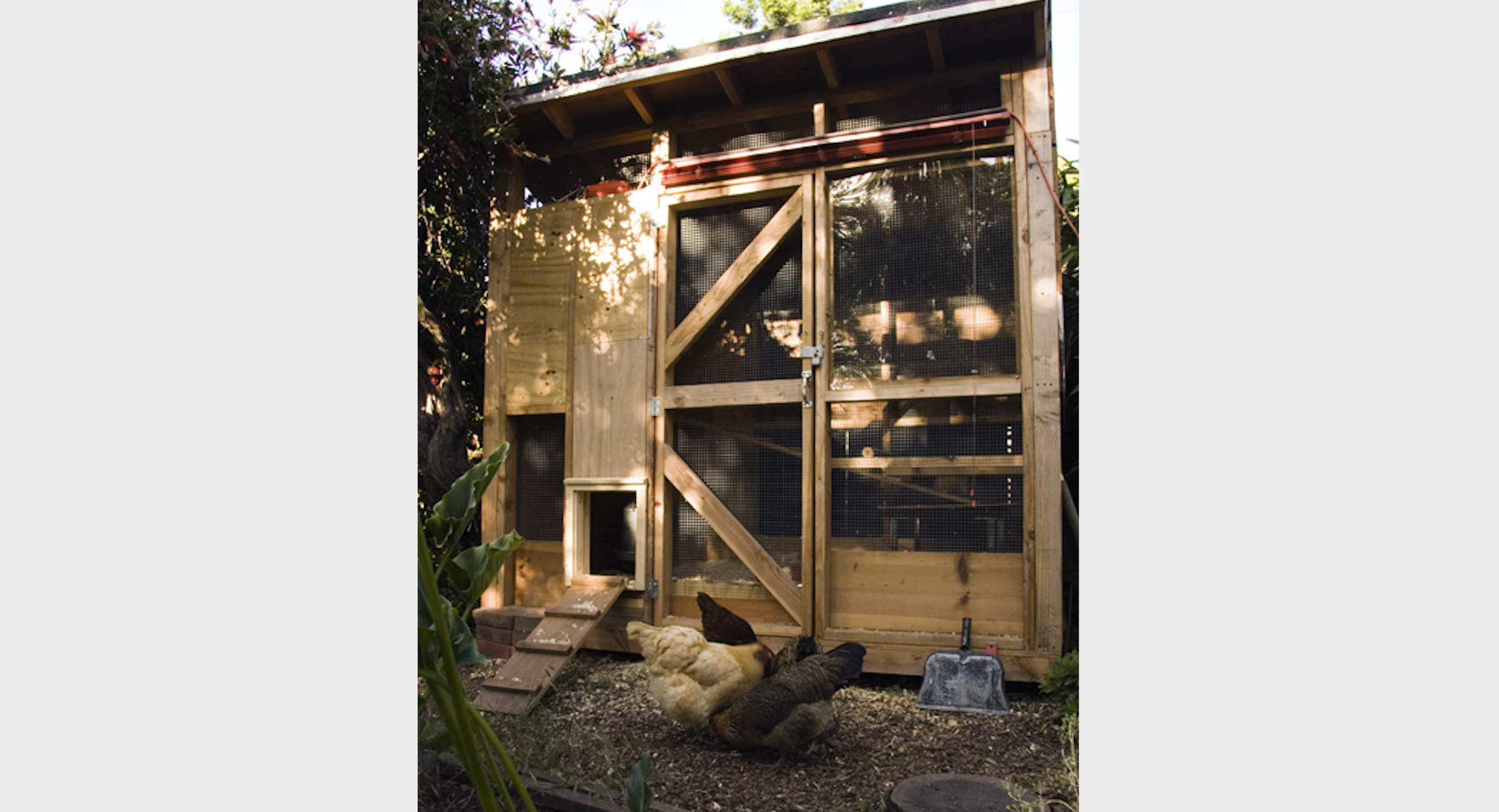 Screen Shot 2023-04-20 at 10.40.57 AM.png