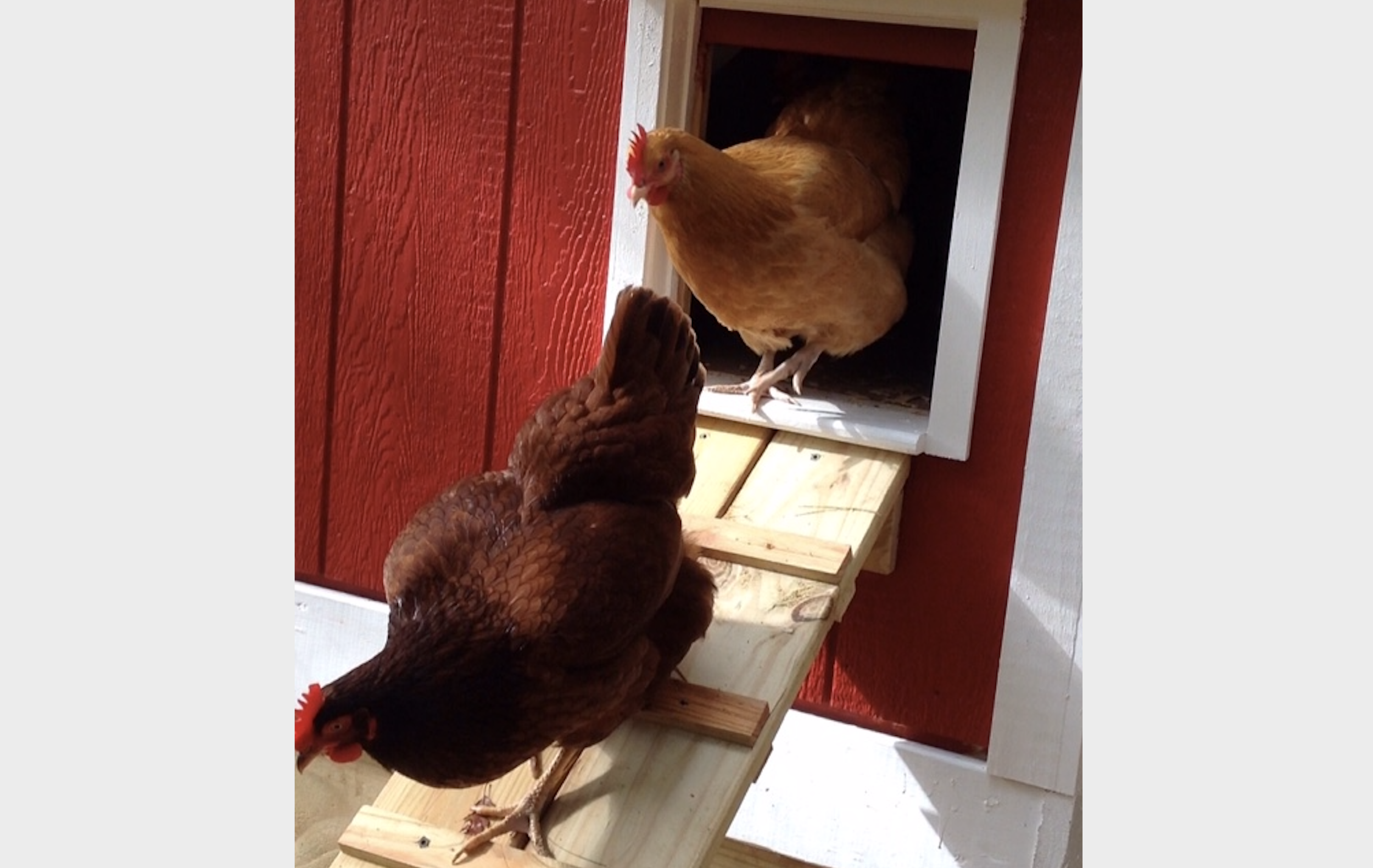 Screen Shot 2023-04-20 at 10.35.27 AM.png