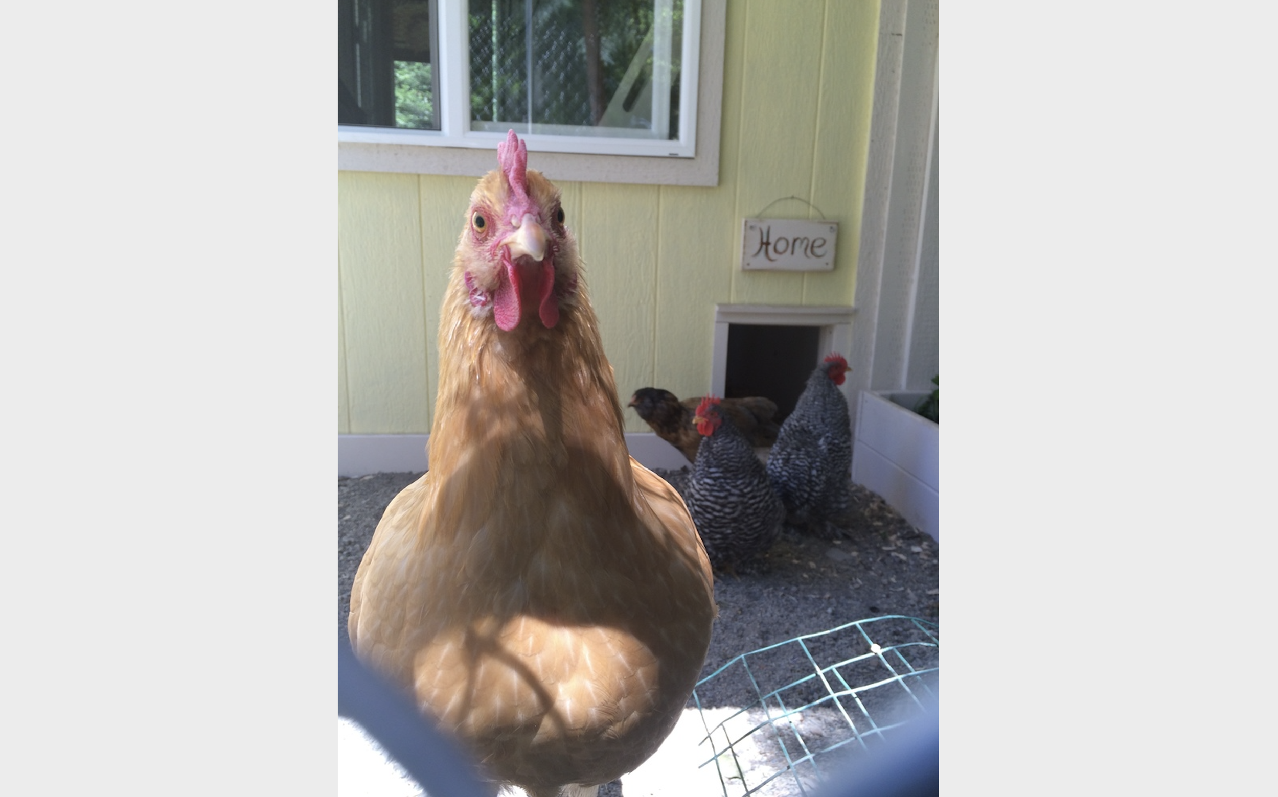 Screen Shot 2023-04-20 at 10.39.35 AM.png