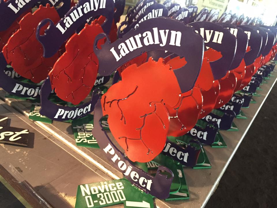 Lauralyn Project donates to LOPA