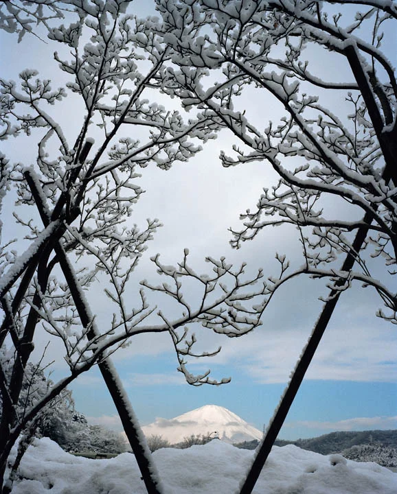 JAPAN. Gotemba. View of Mt. Fuji on the way to Gotemba from a service area. 2001 - 16x12inches £600 - Edition of 6 + 2AP's - 20x24inches £1000 - Edition of 4 + 2AP's