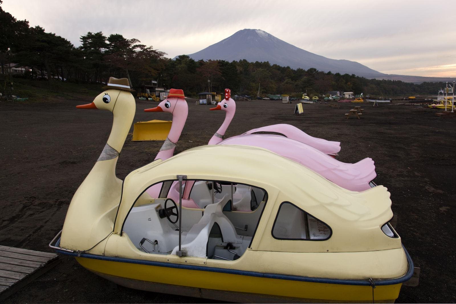 JAPAN. LAKE YAMANAKAKO. October 2009. Swan pleasure boats with view of Mount Fuji - 16x12inches £600 - Edition of 6 + 2AP's - 20x24inches £1000 - Edition of 4 + 2AP's
