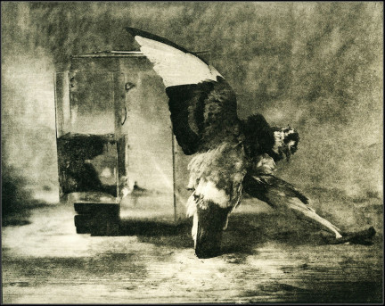 Untitled - Edition AP - £700 Unframed - Copper plate photogravure