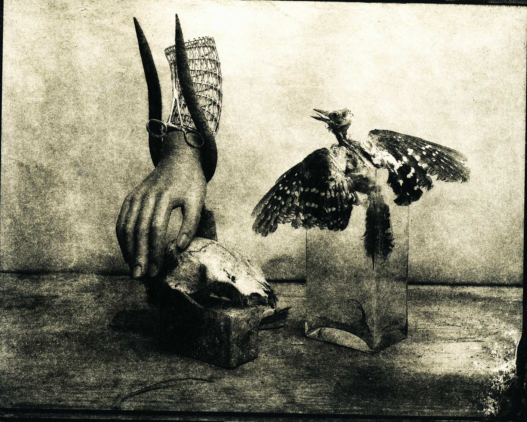 Untitled - Edition 1/8, 2/8 & 3/8 - £350 Unframed - Copper plate photogravure