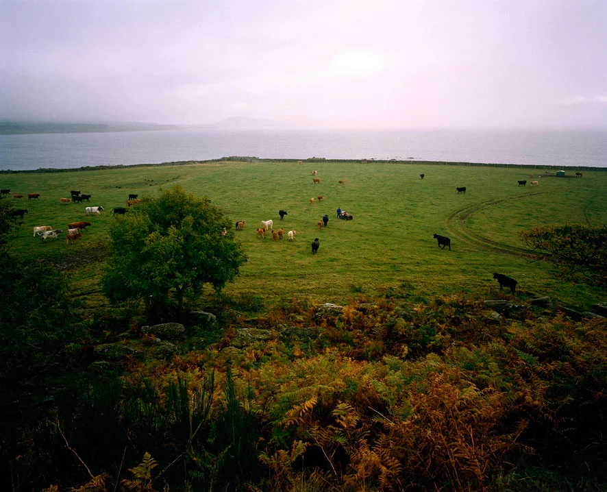 Ardscalpsie Point