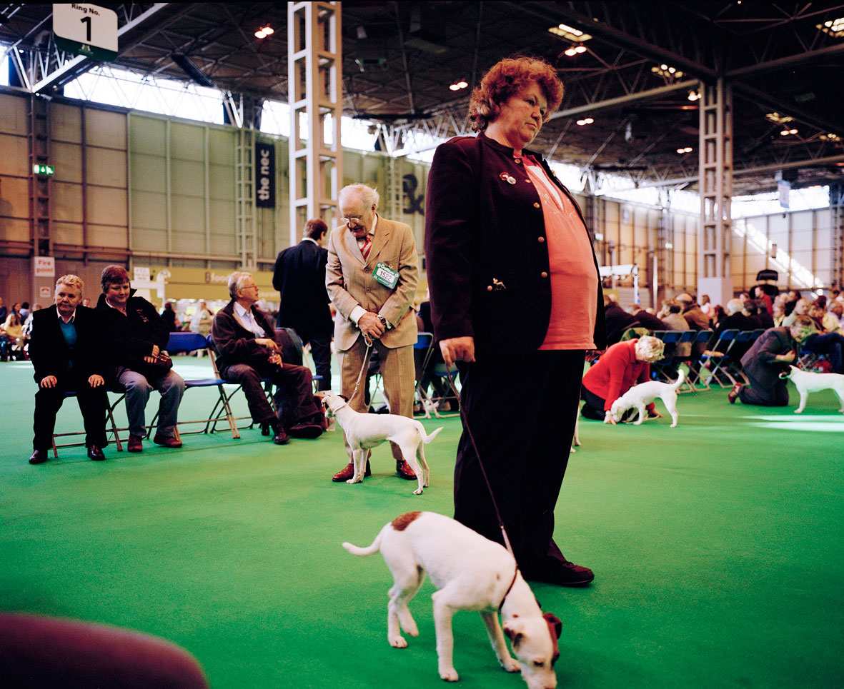 Crufts 2009