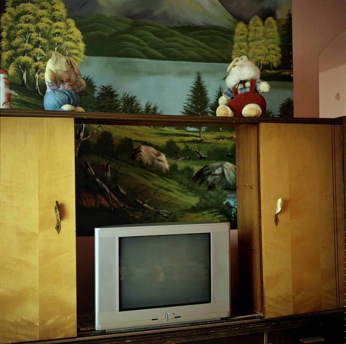 'Untitled' from the series Hidden Identities Unfinished