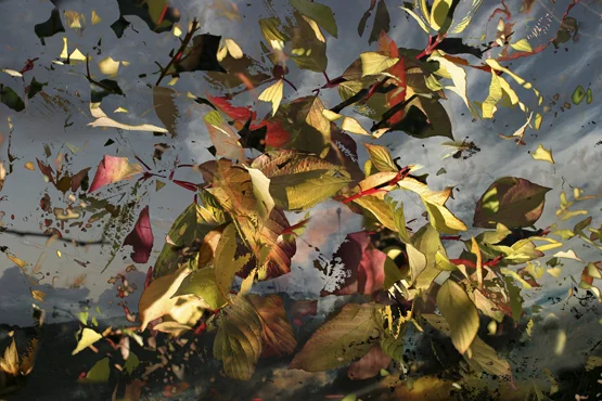 Deborah Baker at the William Morris Gallery