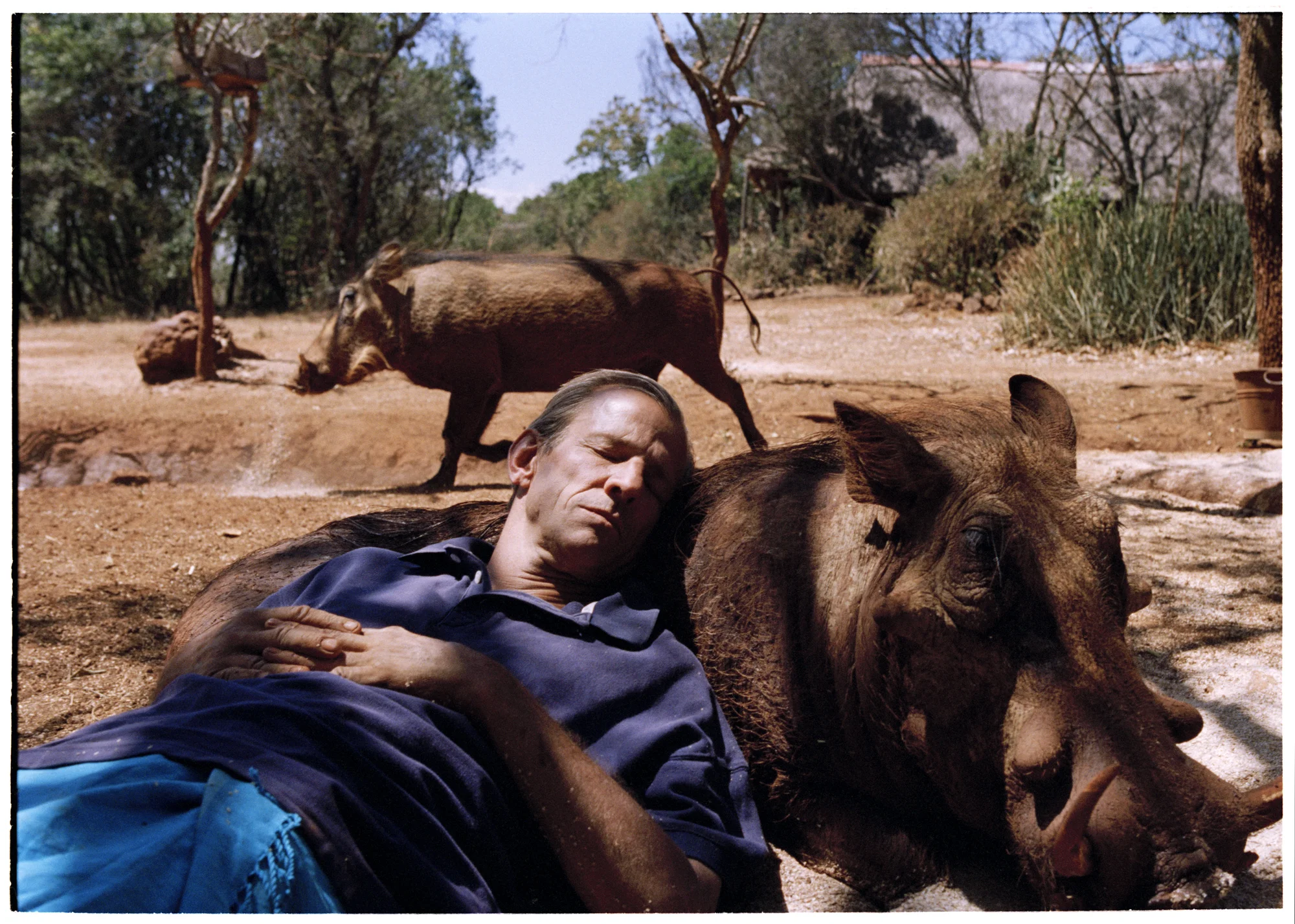 Peter Beard 10x12" edition of 10 +2 AP's £400 20x24" edition of 8 +2 AP's £800