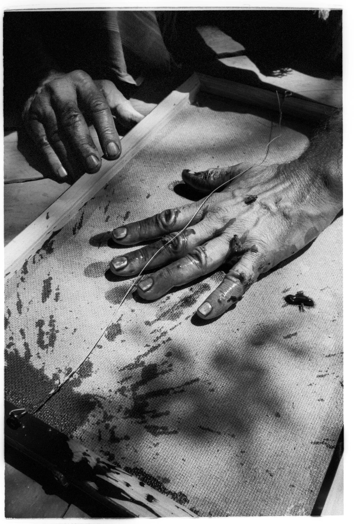 Peter Beard 10x12" edition of 10 +2 AP's £400 20x24" edition of 8 +2 AP's £800