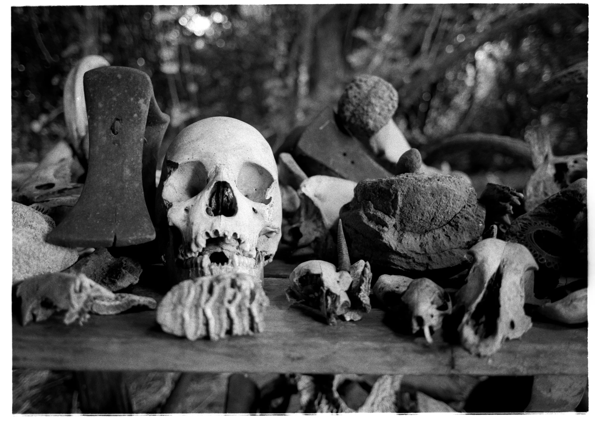 Peter Beard 10x12" edition of 10 +2 AP's £400 20x24" edition of 8 +2 AP's £800