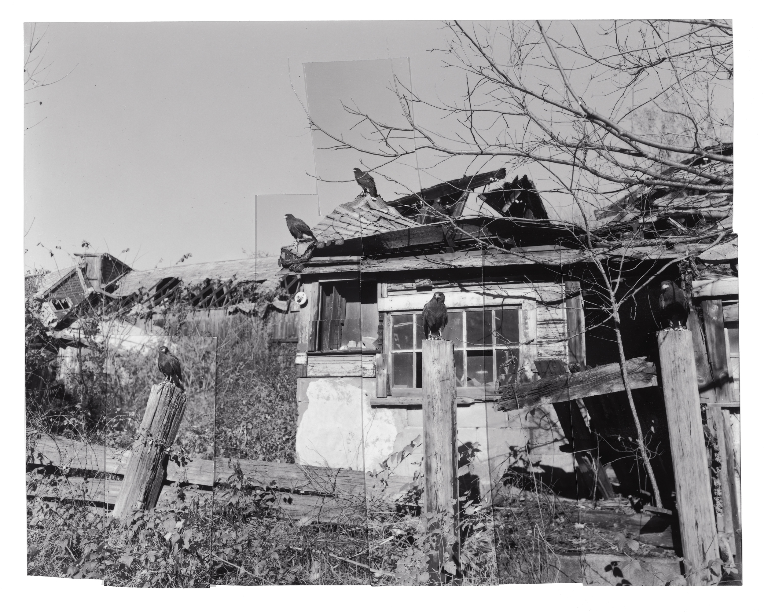 Lynton, The Birds II, April 2013.jpg