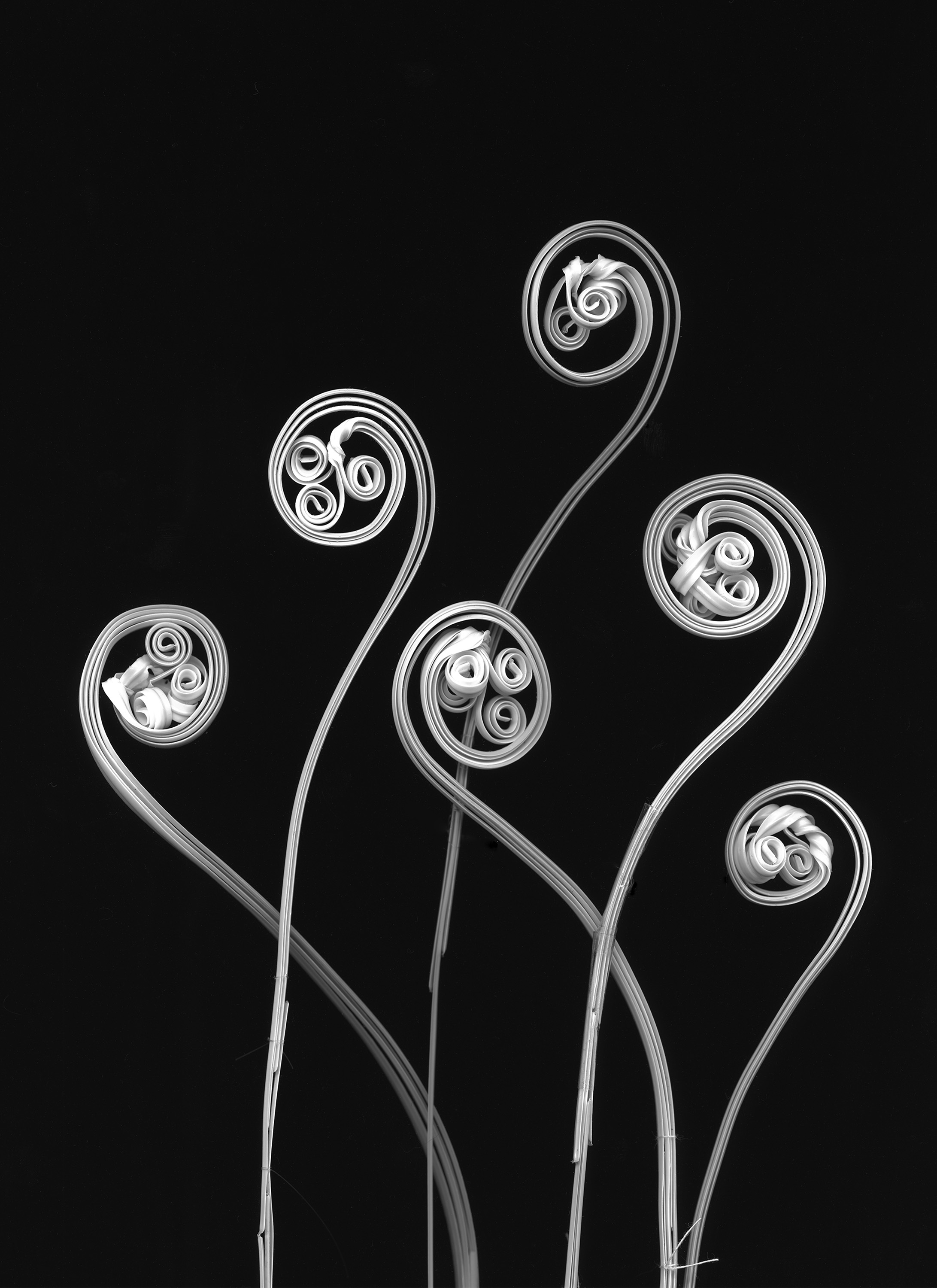 © Elaine Duigenan