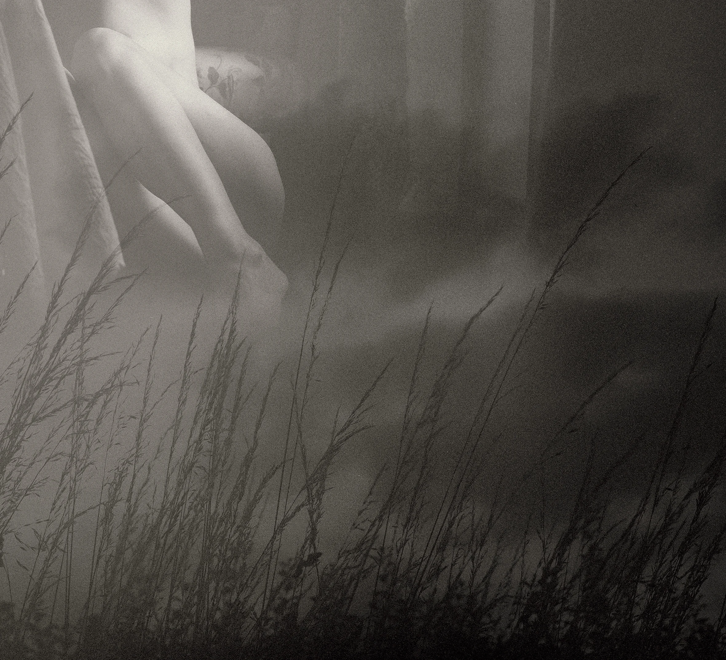 The Clouds by Zaklina Anderson.jpg