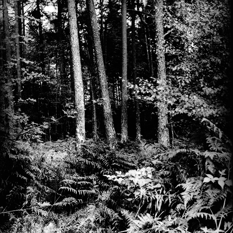 From the 'Anywhere was...' series #7