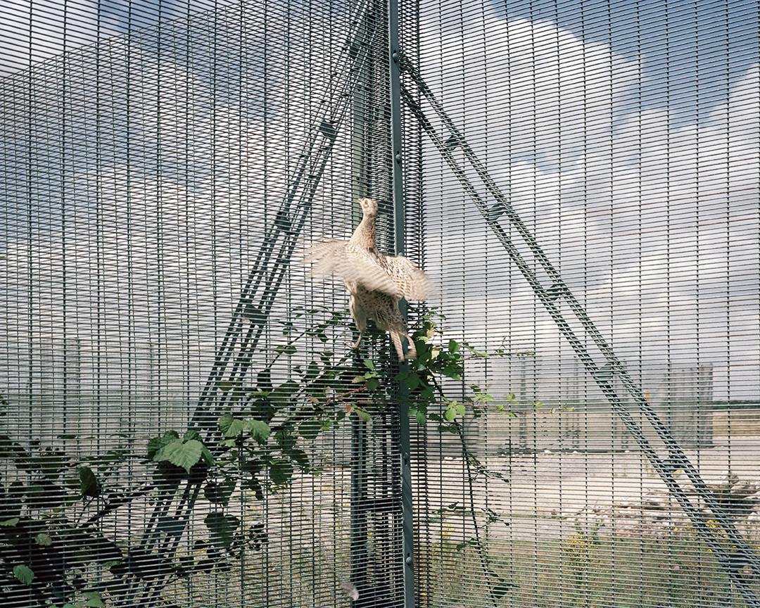 1 Untitled from Cold War Pastoral 1999-2000