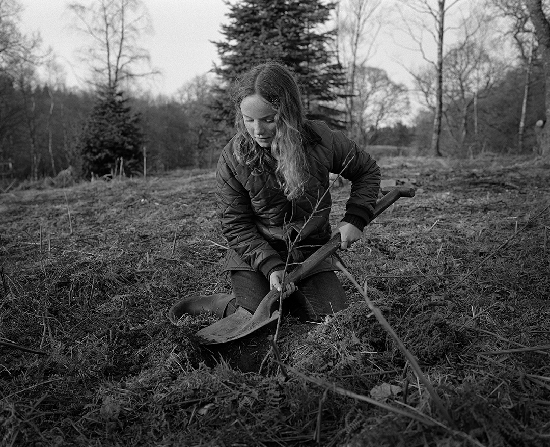 6 Untitled, from The Forest 1984