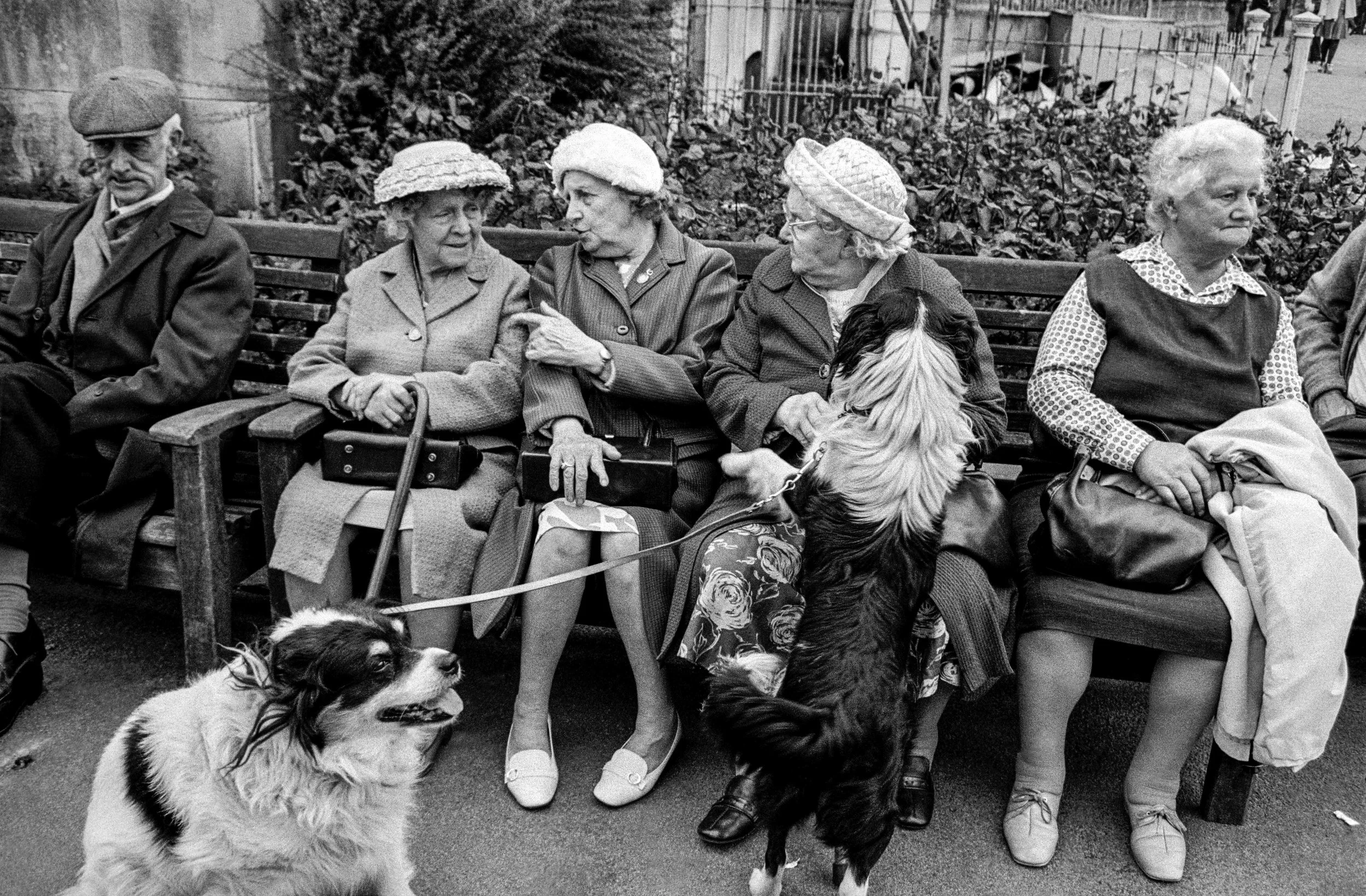 Pensioners in Brockwell Park, 1974