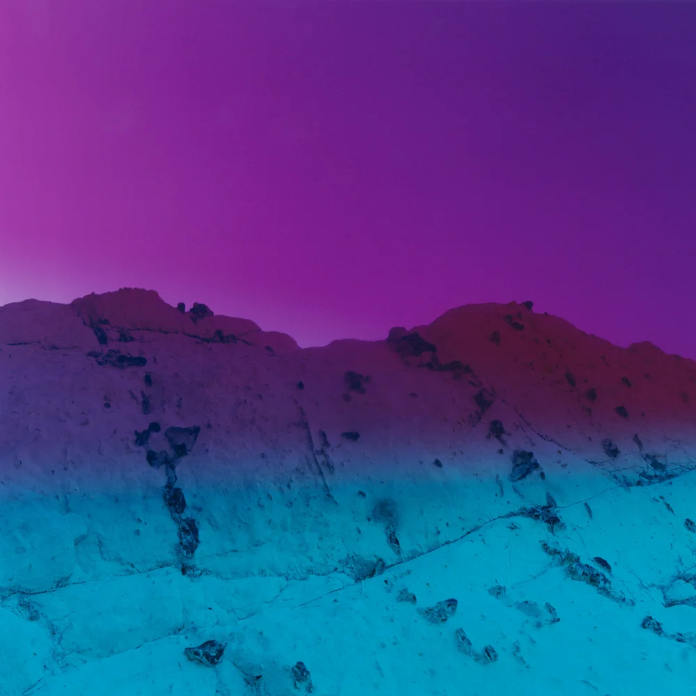 Carlotta Cardana — L A NOBLE GALLERY