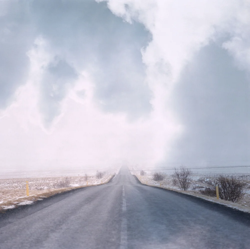 Carlotta Cardana — L A NOBLE GALLERY