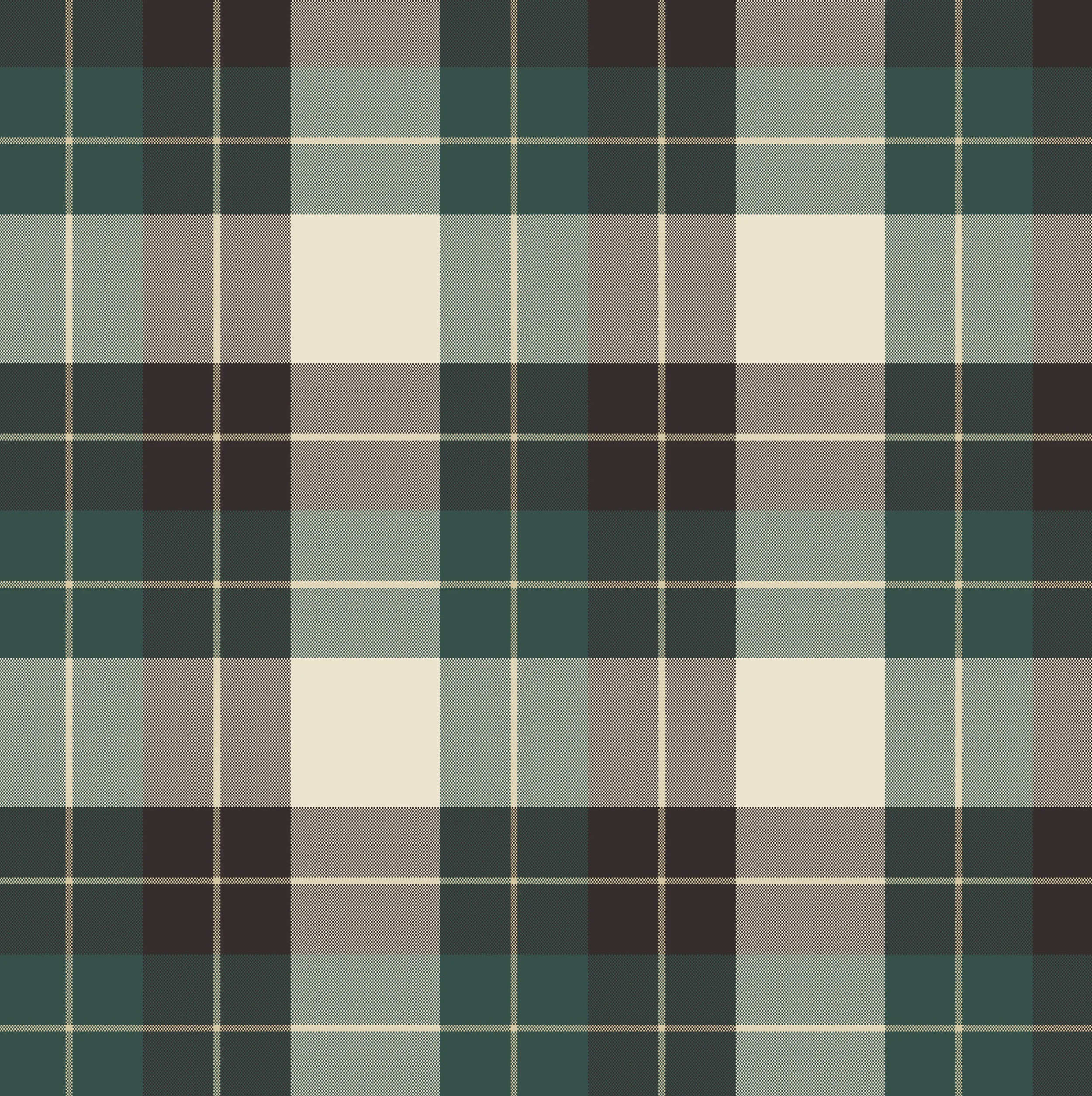 Plaid_1_M.jpg