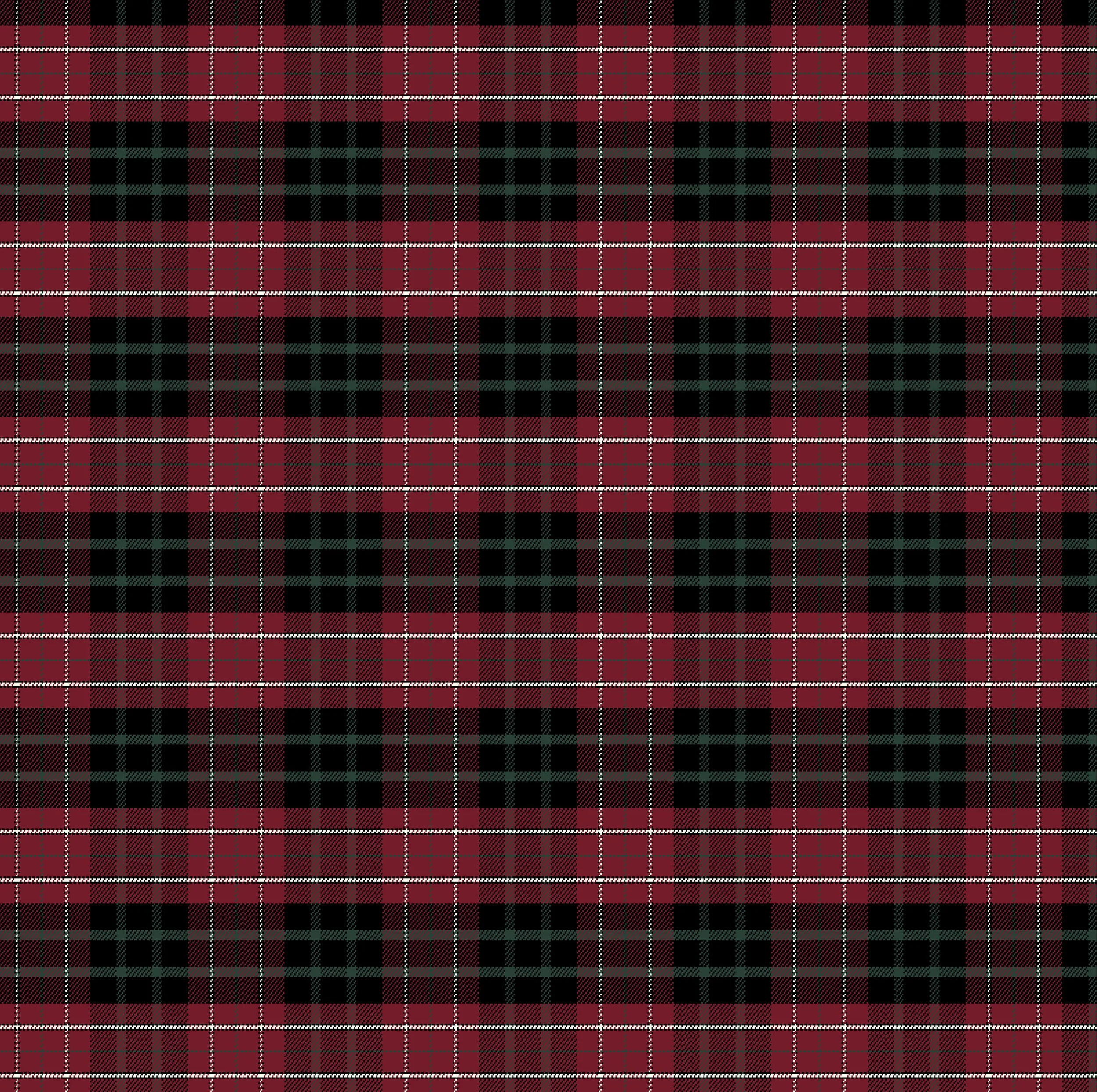 Plaid_2_M.jpg