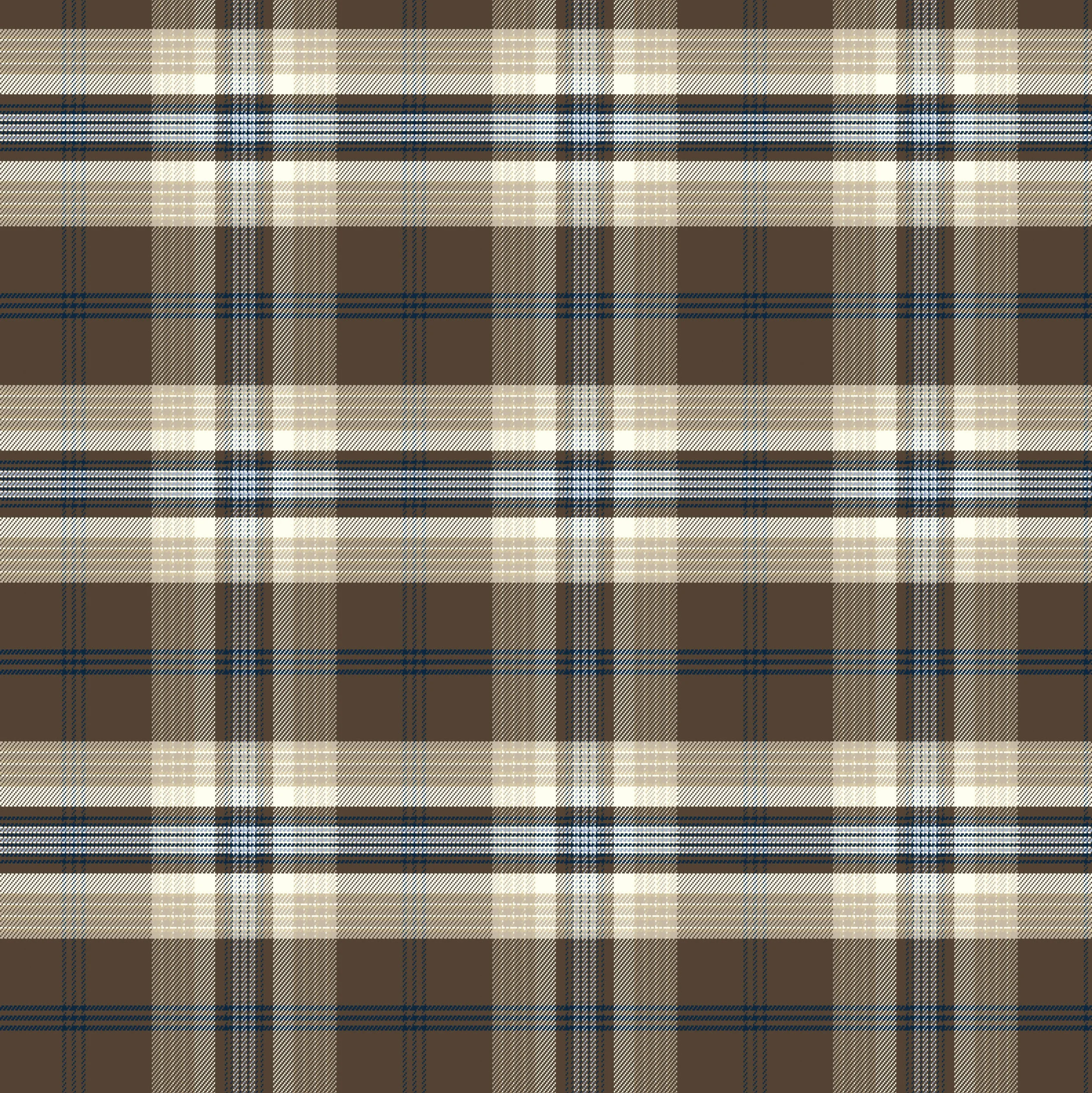 Plaid_3_M.jpg