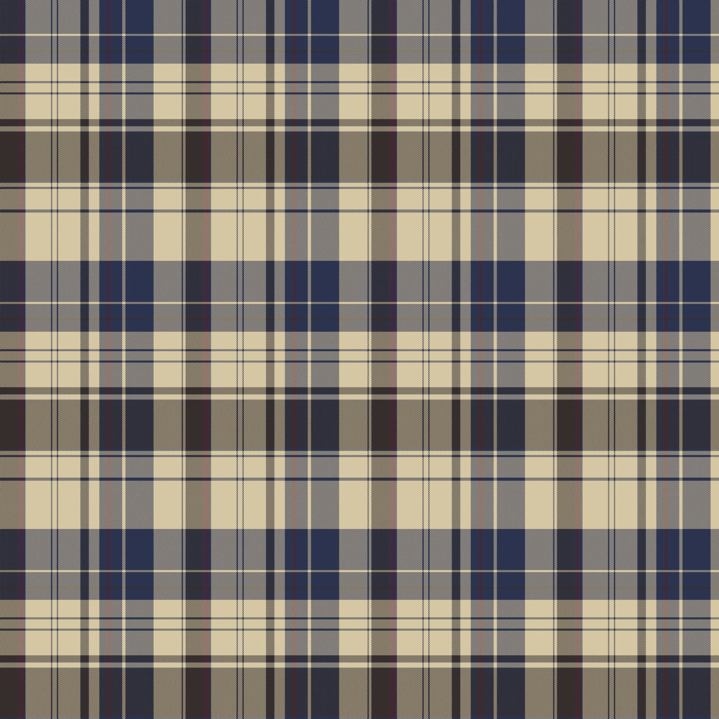 Plaid_5_M.jpg