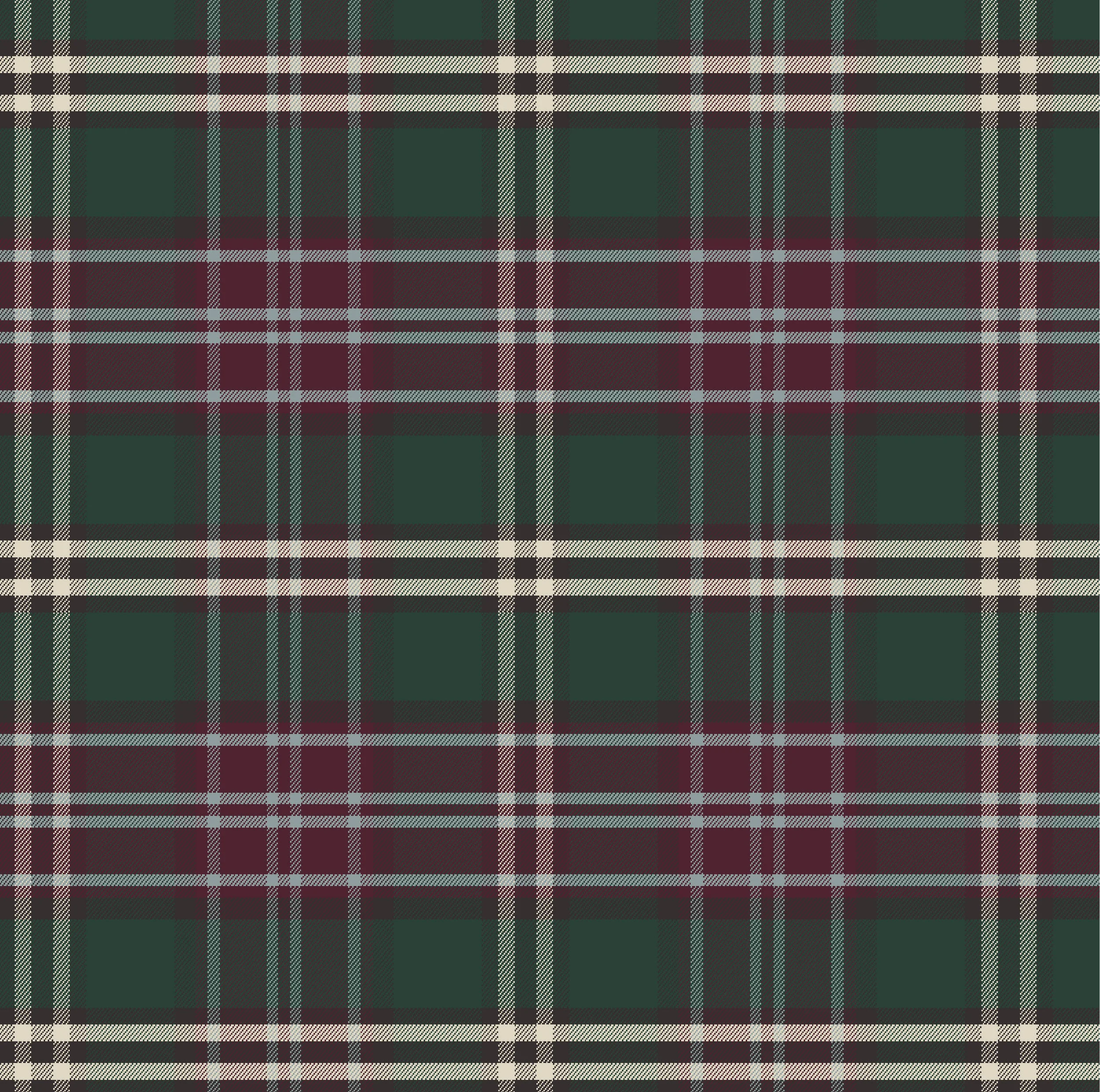Plaid_9_M.jpg