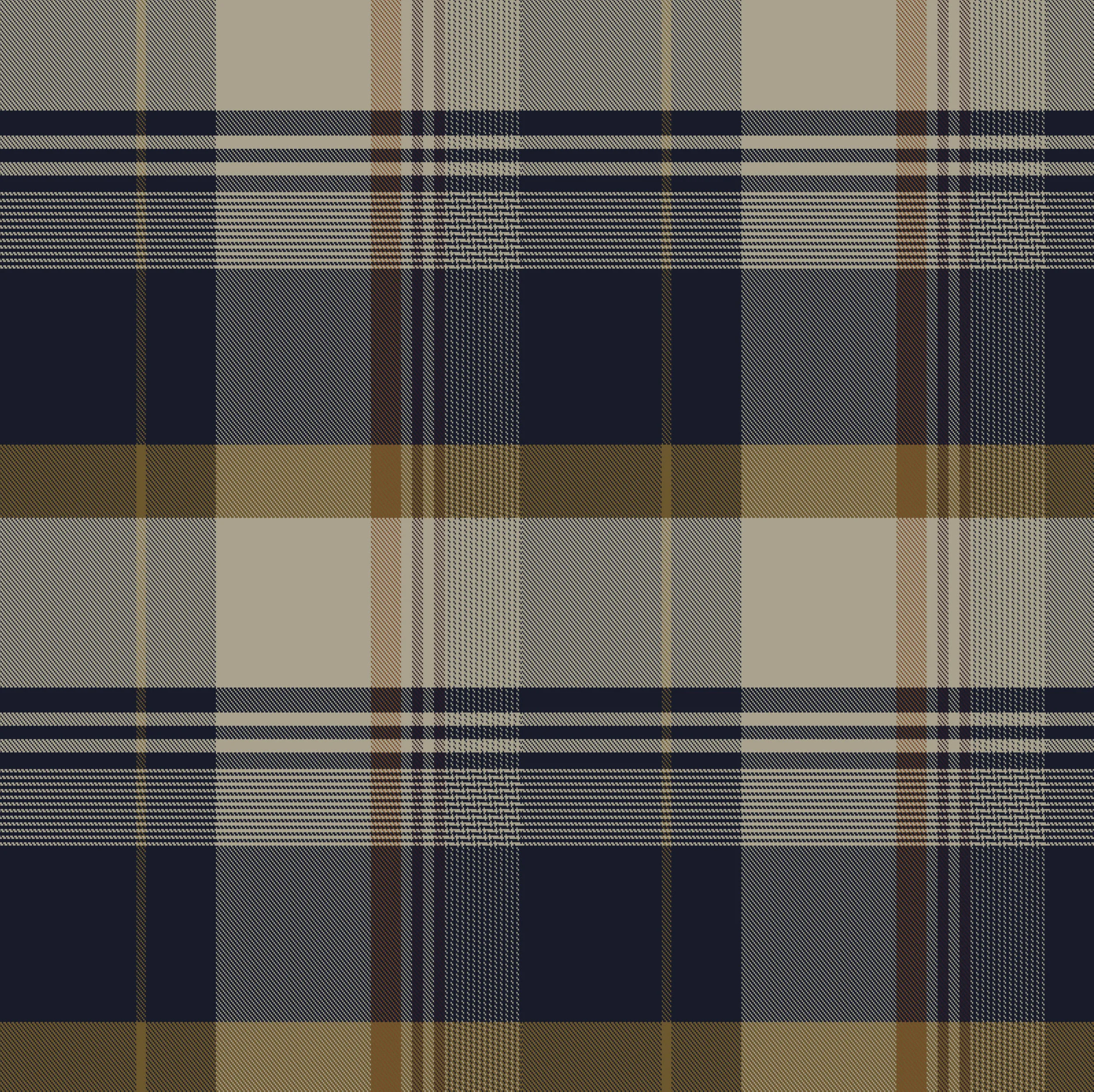 Plaid_16_M.jpg