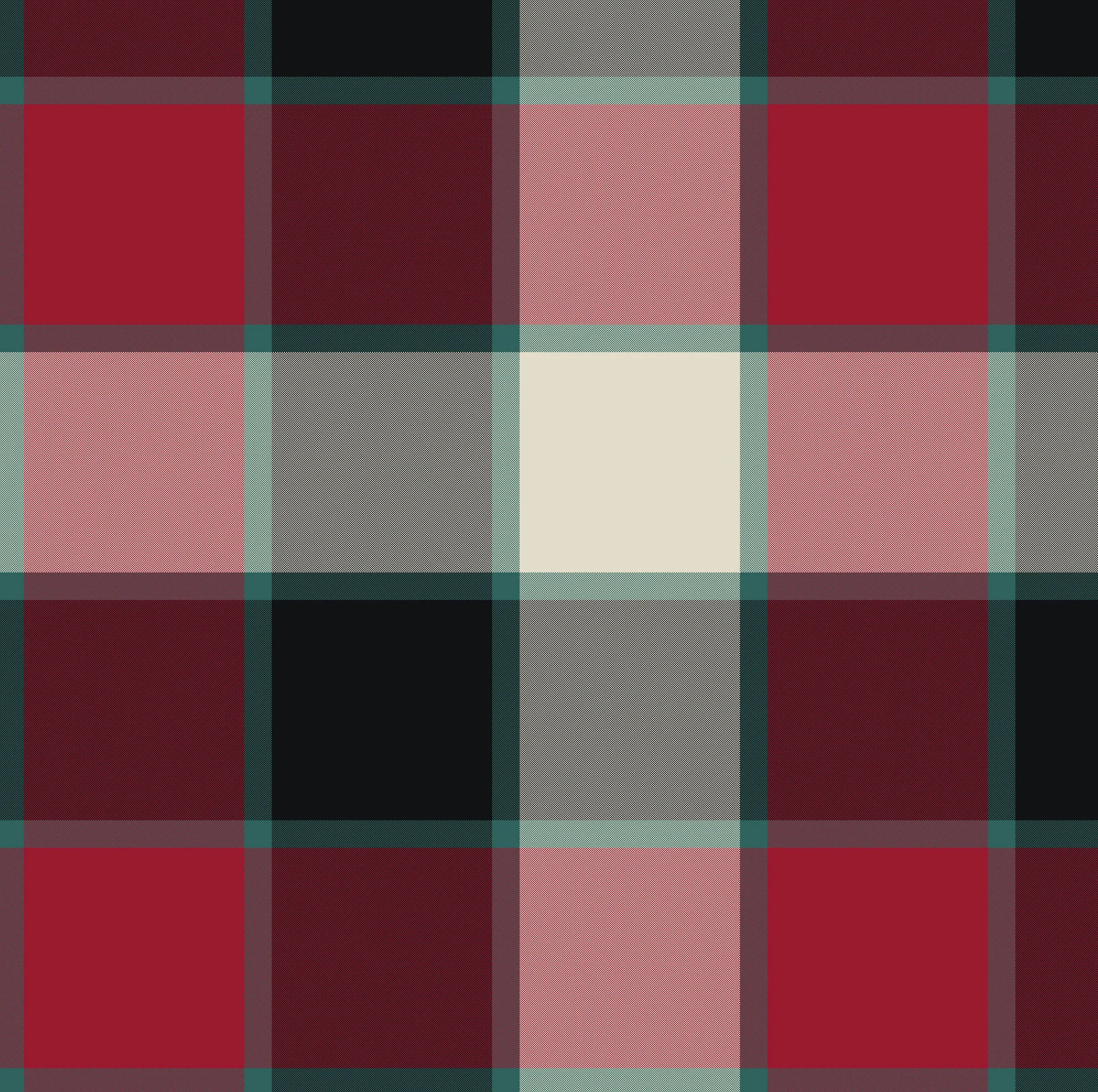 Plaid_17_M.jpg