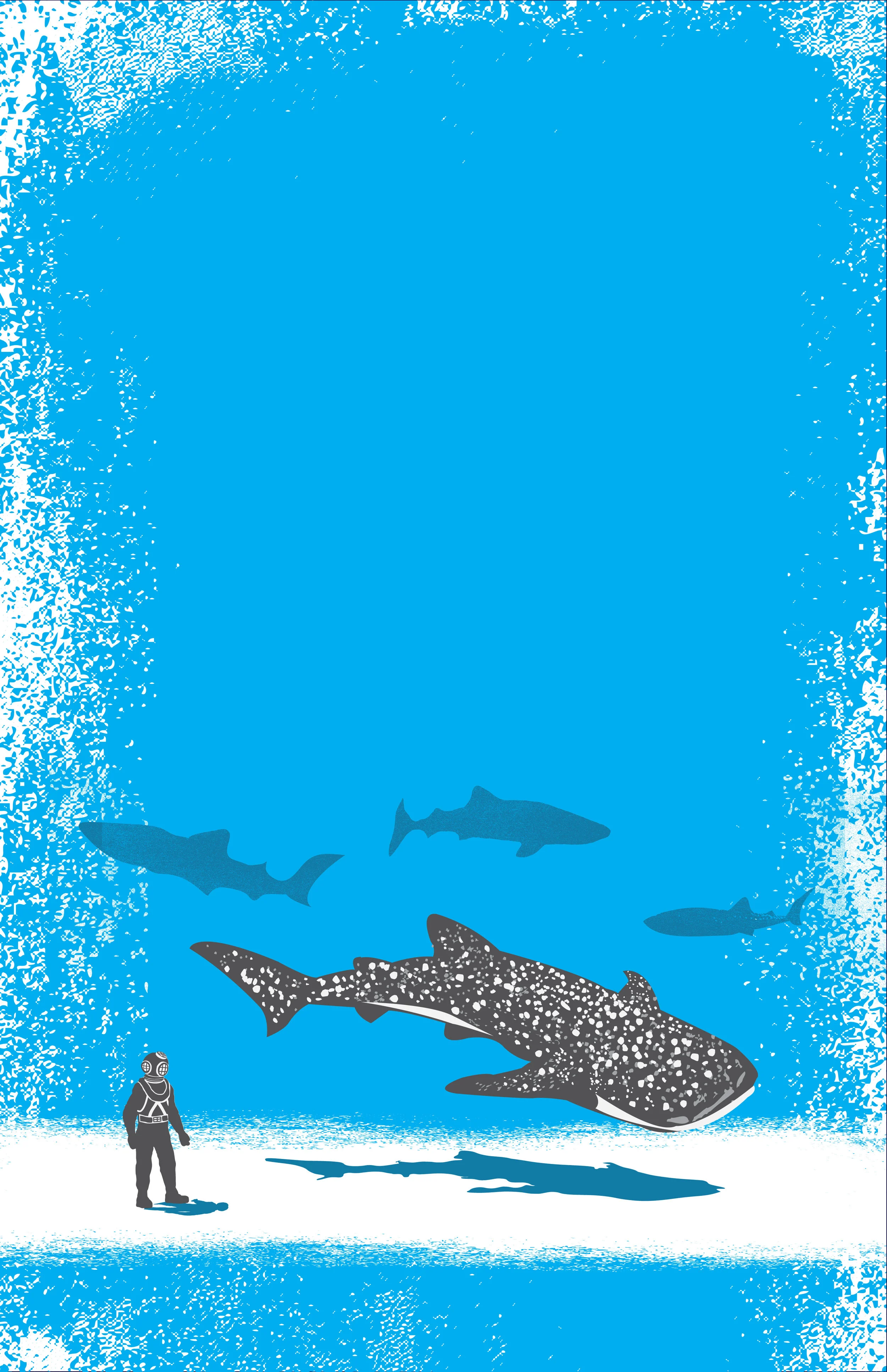 whale_shark.jpg