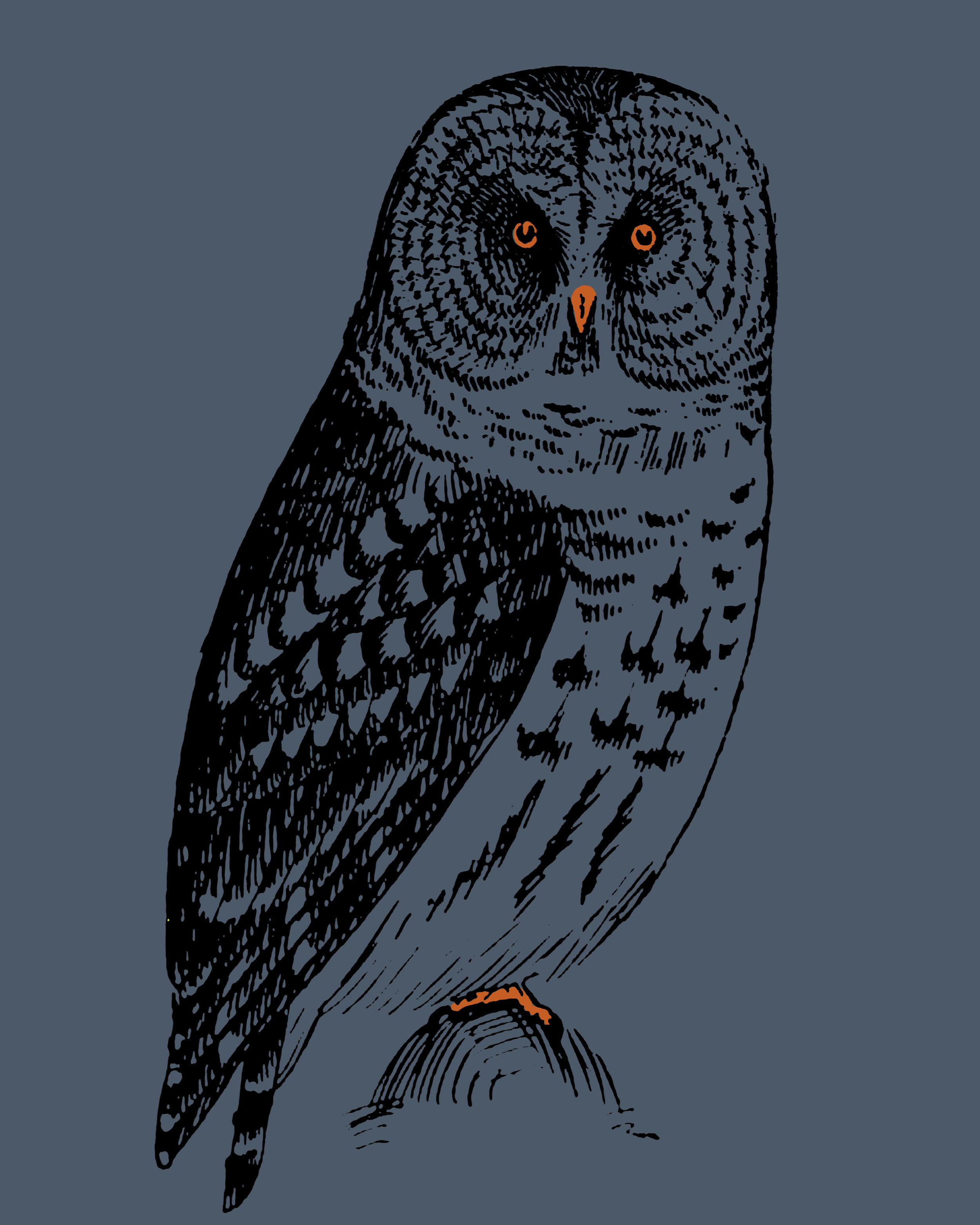 C412CHPJPR008_OWL_GRAPHIC.jpg