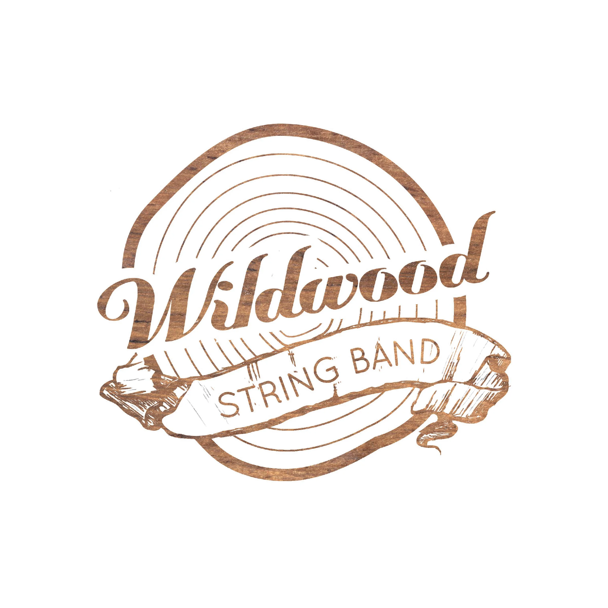 Wildwood String Band