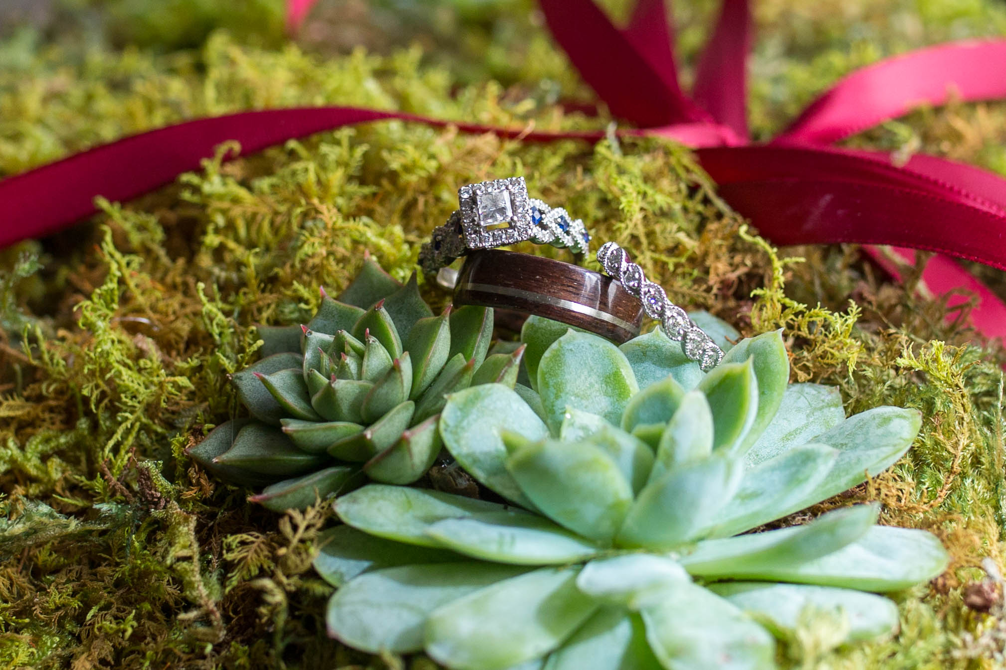 Nicole+Mike0144.jpg