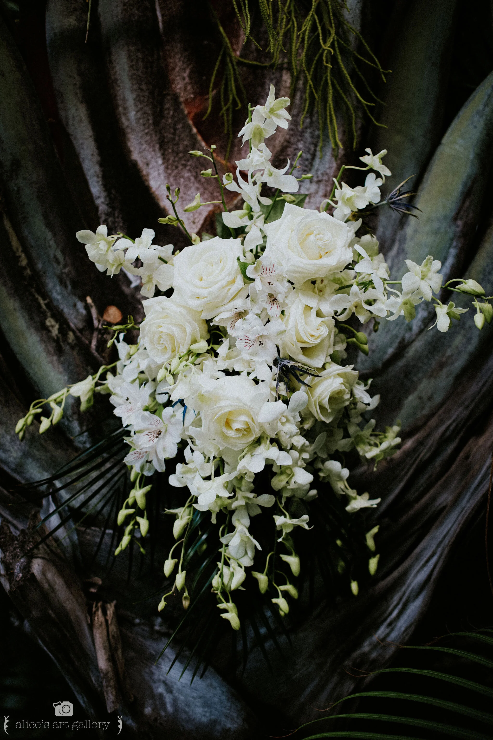 Aag Blog Alice S Art Gallery