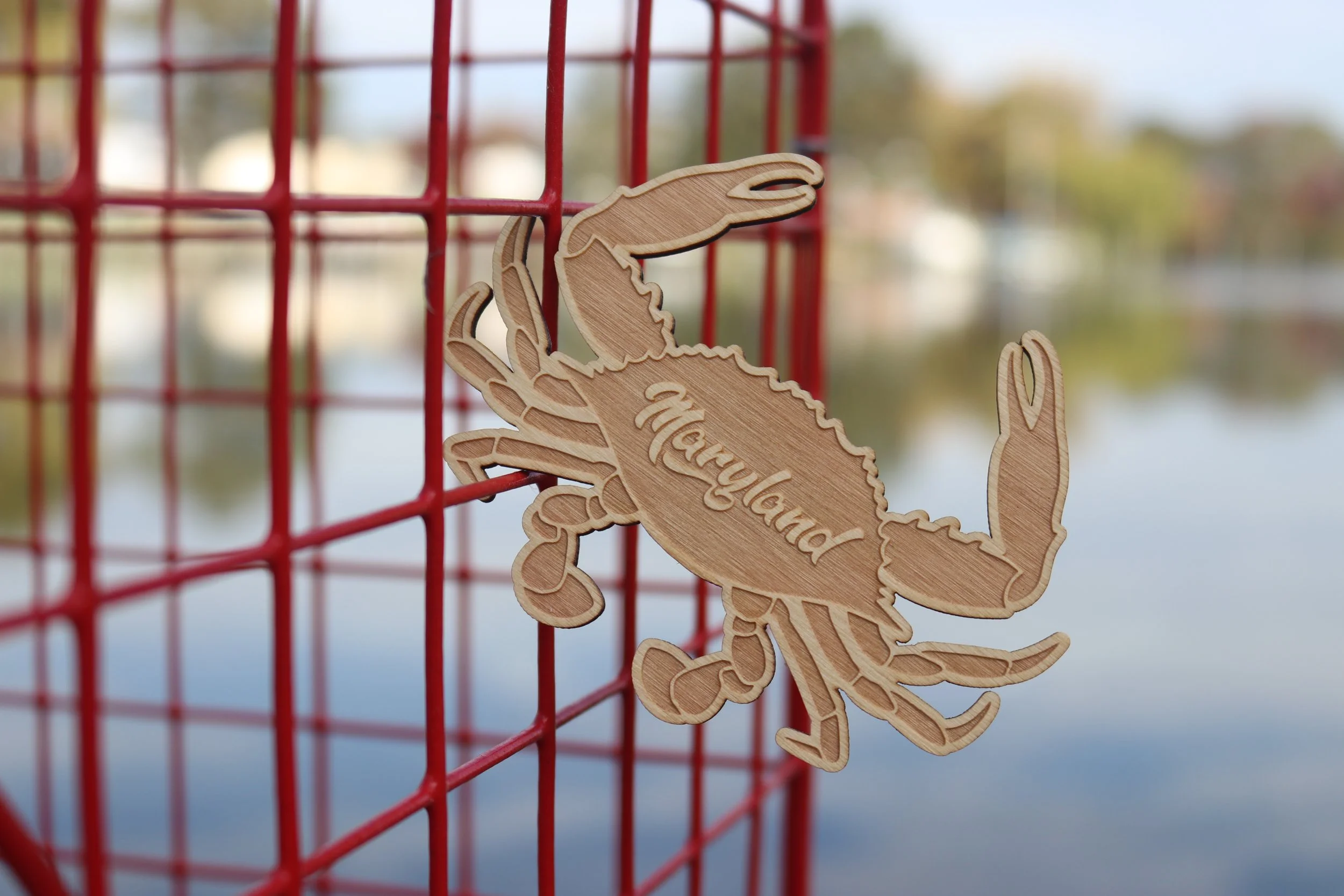 Maryland crab - Side of pot.JPG
