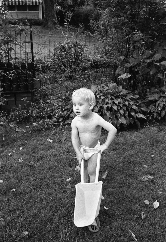 Alice in the Yard, 1989